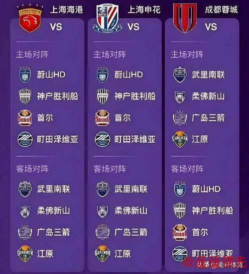 光辉国际巡回赛2026赛程一览：25站比赛元月启动