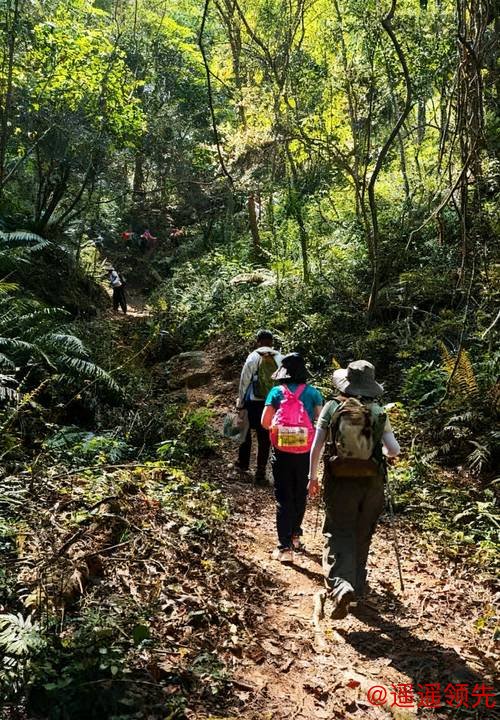 河源：绿美灵动的徒步之城丨探寻广东21城体育性格
