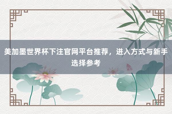 美加墨世界杯下注官网平台推荐，进入方式与新手选择参考