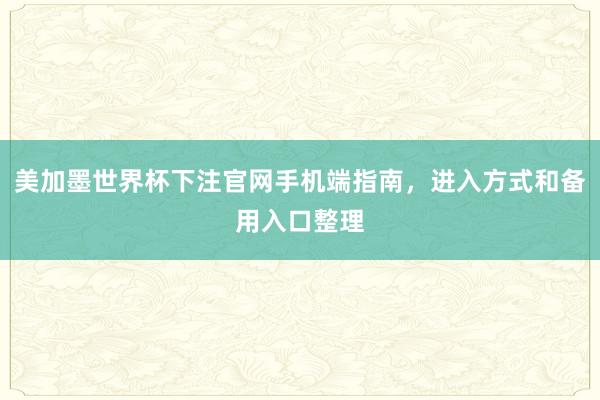 美加墨世界杯下注官网手机端指南，进入方式和备用入口整理
