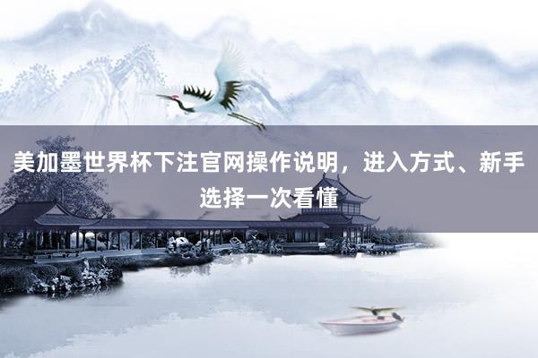 美加墨世界杯下注官网操作说明，进入方式、新手选择一次看懂
